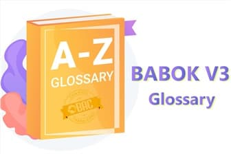 BABOK V3 Glossary