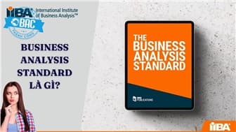 Business Analysis Standard là gì? Lợi ích của Business Analysis Standard