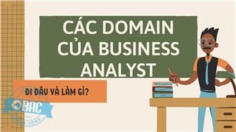 Các Domain của Business Analyst – Đi đâu và làm gì?