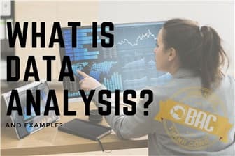 Data Analysis là gì? Ví dụ minh hoạ
