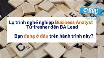 Lộ trình nghề nghiệp Business Analyst: Từ fresher đến BA Lead - Bạn đang ở đâu trên hành trình này?