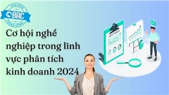 Những cơ hội nghề nghiệp trong lĩnh vực phân tích kinh doanh 2024